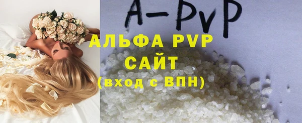 PSILOCYBIN Горнозаводск